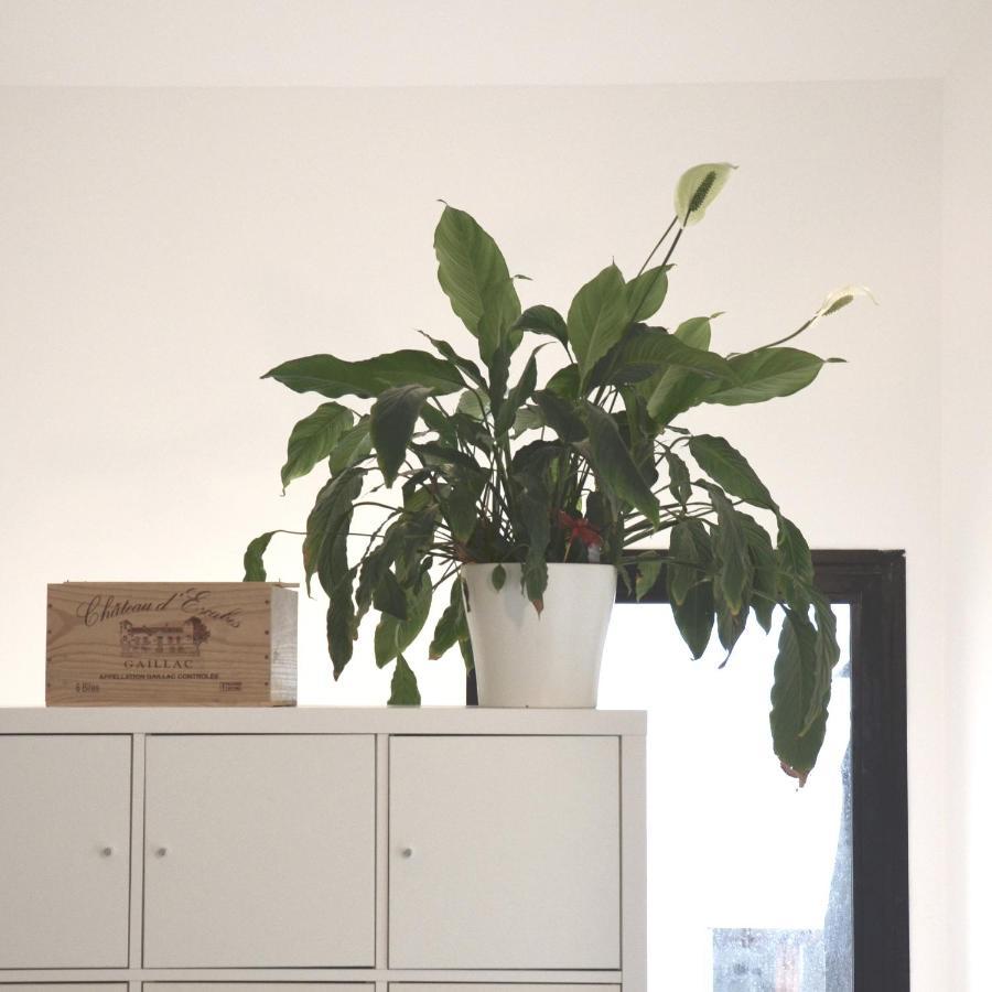 Appartement de charme entre Nantes et aeroport Bouguenais Extérieur photo